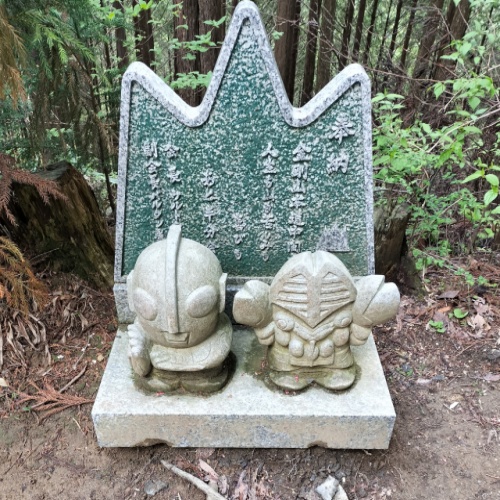 金剛山　初心者　千早本道