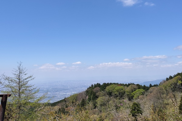 金剛山　初心者　千早本道